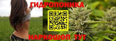 МДМА Новодвинск
