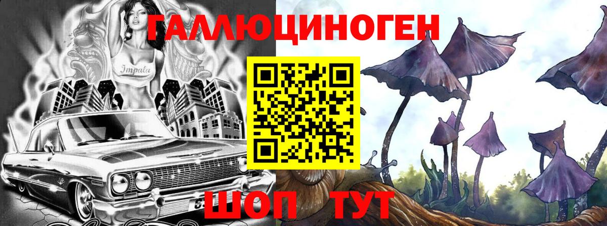 Троицк  Галлюциногенные грибы Psilocybe  Вход с VPN 